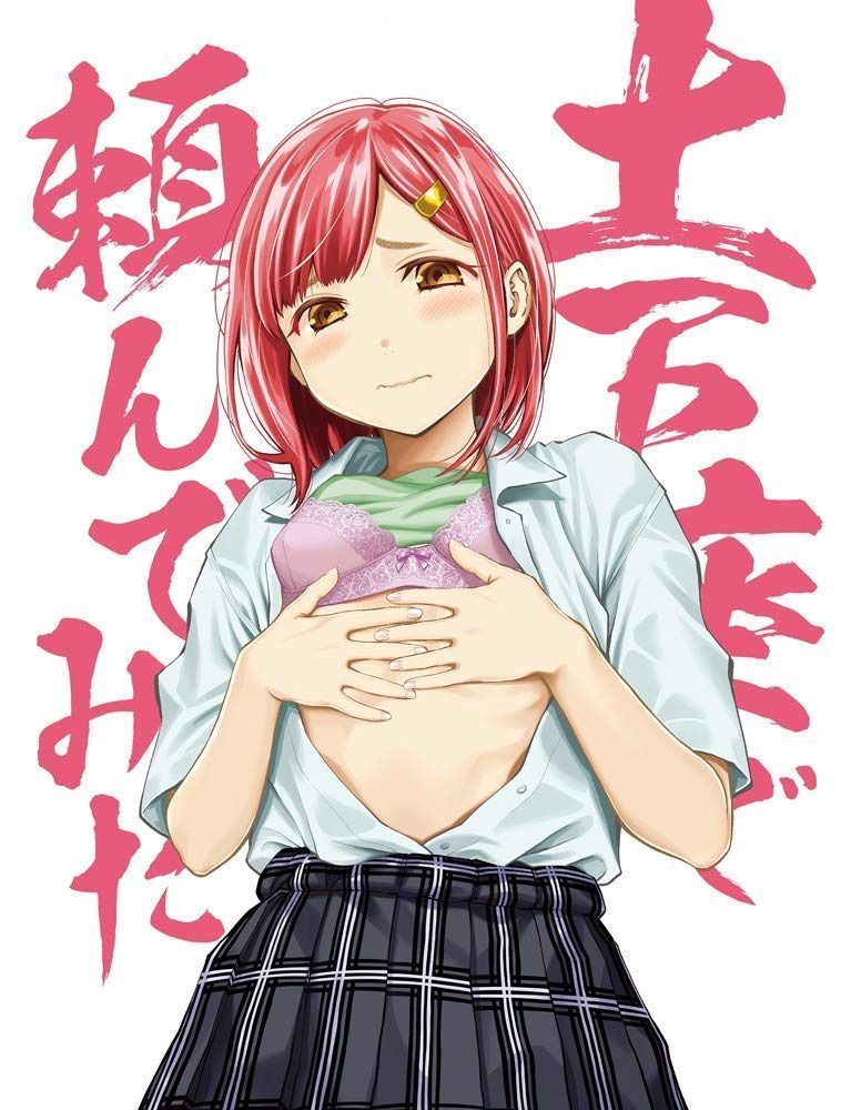 土下座で頼んでみた Blu-ray 本気で頼んでみた版