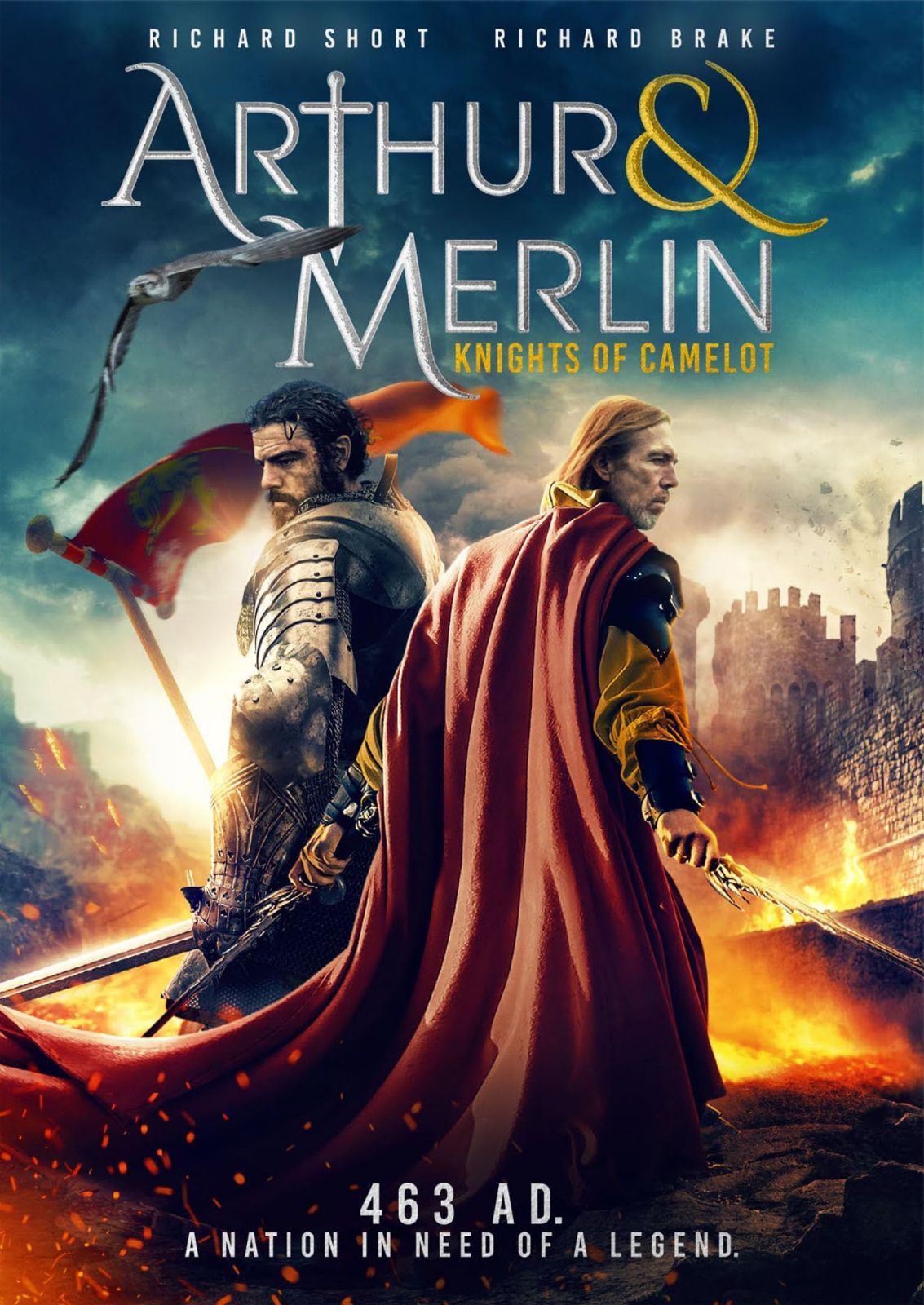 Arthur & Merlin: Knights of Camelot [DVD]