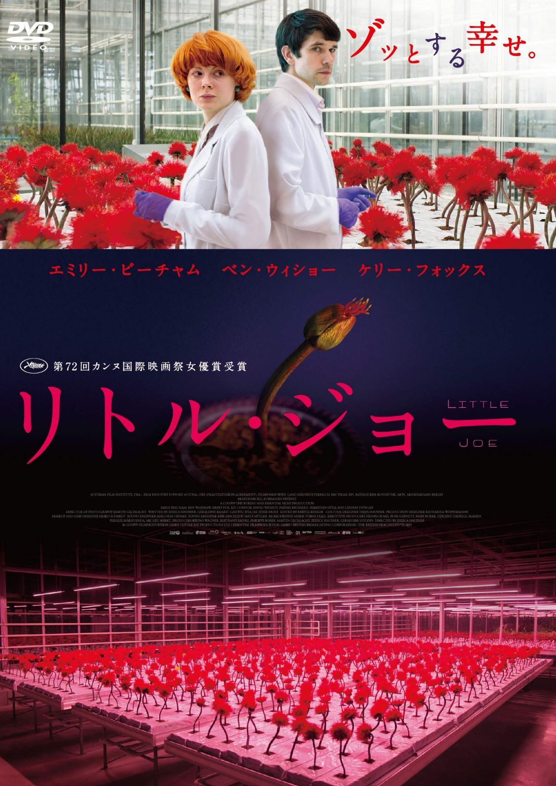 リトル・ジョー [DVD]