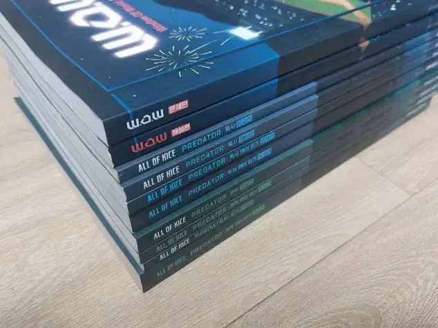 新品の本 2027 キム・スンリ An Ode 文学 ワウ All Of KICE 出品