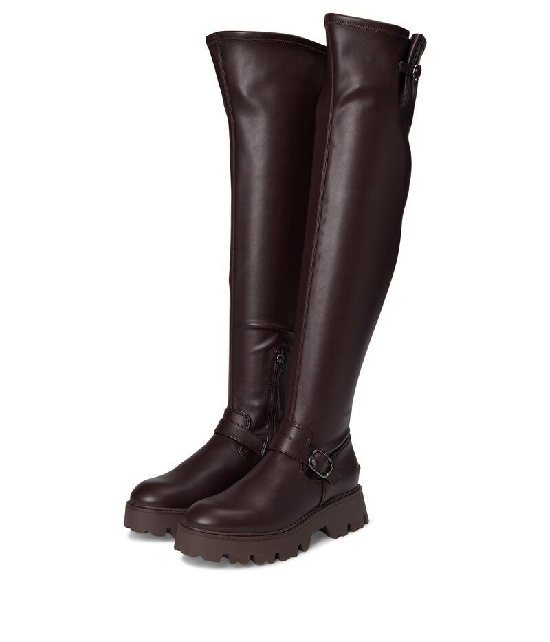 サーカス NY バイ サムエデルマン レディース シューズ スニーカー Circus Ny By Sam Edelman Pace Dark Chocolate チョコレート