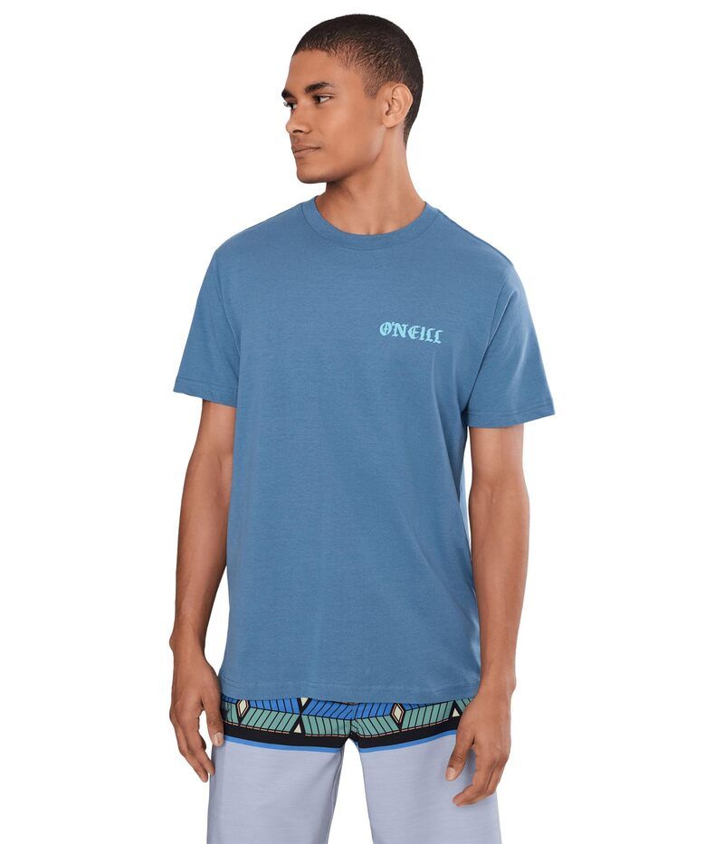 オニール メンズ トップス シャツ Oneill Coral Short Sleeve Classic Tee Captains Blue ブルー