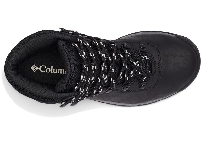 コロンビア レディース シューズ スニーカー プラスサイズ Columbia Newton Ridge Plus BlackChalk 1 チョーク コロンビア レディース シューズ スニーカー プラスサイズ Columbia Newton Ridge Plus BlackChalk 1 チョーク