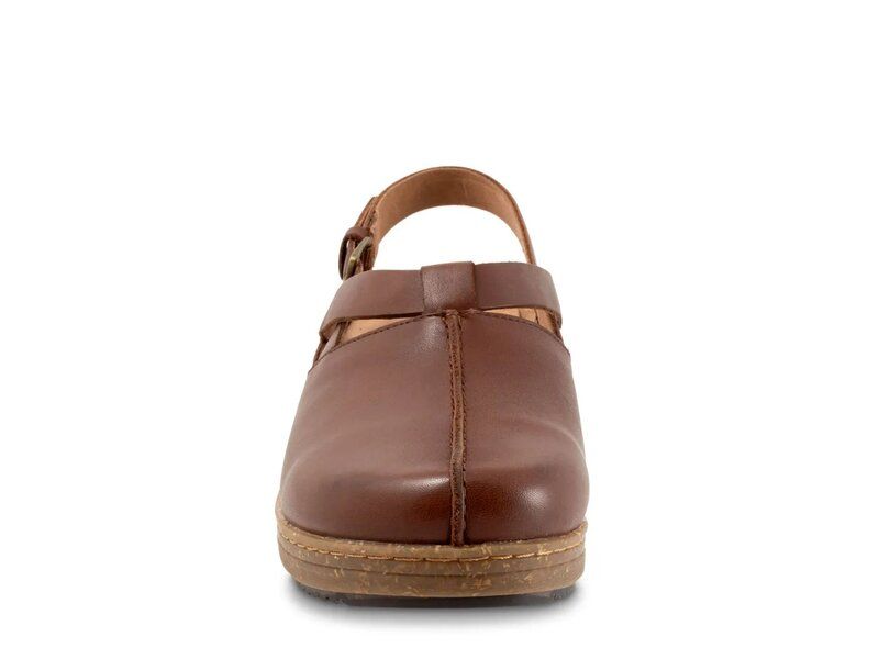 ソフトウォーク レディース シューズ サンダル Softwalk Arica Clog Dark Brown ブラウン