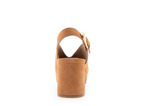 エアロソールズ レディース シューズ サンダル Aerosoles Cornelia Sandal Tan タン エアロソールズ レディース シューズ サンダル Aerosoles Cornelia Sandal Tan タン