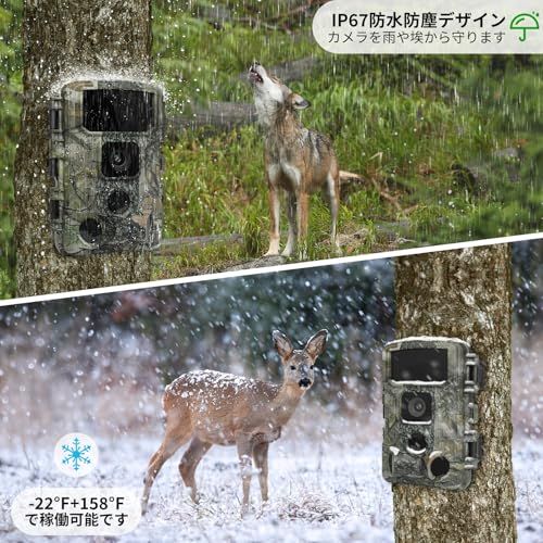 KJK 最新型【WIFI対応】トレイルカメラ 赤外線カメラ 防犯カメラ 静止画6400万画素 動画8k 野生動物監視 防犯 乾電池式 0.05秒超高速トリガー 夜間低輝度光らく赤外線LED 人感センサー 内蔵録音マイク IP67級防水防塵 屋外 屋内 監視Ju KJK 最新型【WIFI対応】トレイルカメラ 赤外線カメラ 防犯カメラ 静止画6400万画素 動画8k 野生動物監視 防犯 乾電池式 0.05秒超高速トリガー 夜間低輝度光らく赤外線LED 人感センサー 内蔵録音マイク IP67級防水防塵 屋外 屋内 監視Ju
