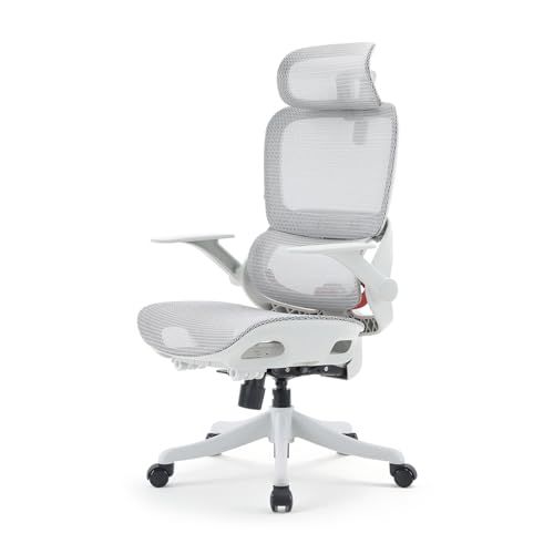 SIHOO B100 オフィスチェア デスクチェア メッシュチェア 人間工学 疲れない 独立式ランバーサポート 2Dアームレスト 2Dヘッドレスト 133°リクライニング pcチェア パソコン ワーク 事務椅子 通気性に優れ オフィス 在宅ワーク (はいいｍａ
