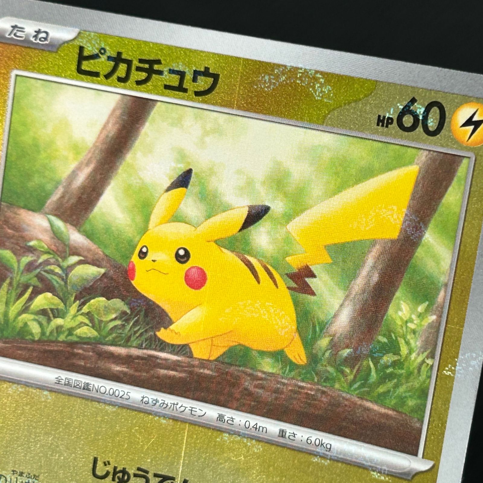 ポケカ ピカチュウ モンスターボール モンボミラー 025/165 151 ②