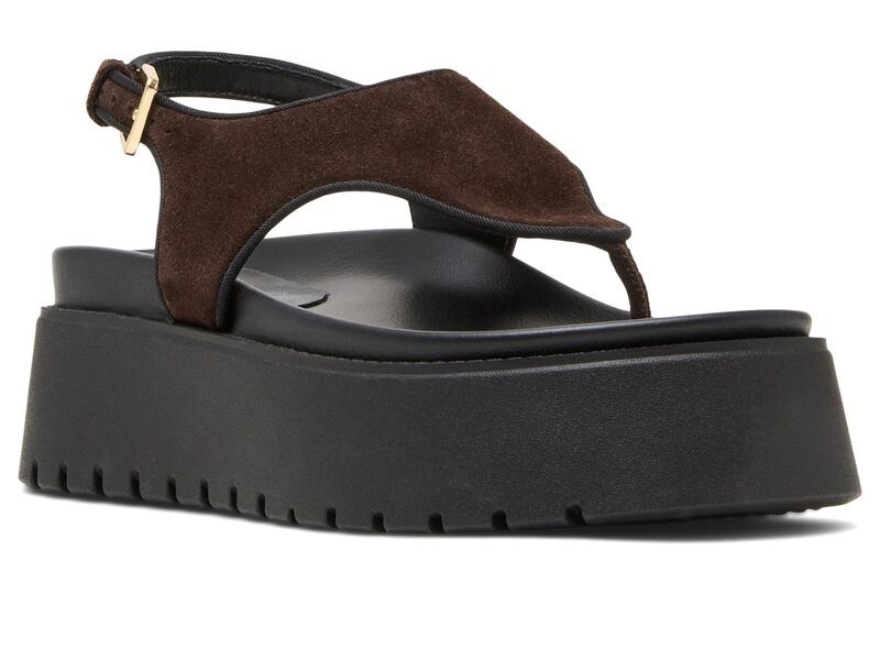 スティーブ マデン レディース シューズ スニーカー Steve Madden Tabor Brown Suede ブラウン