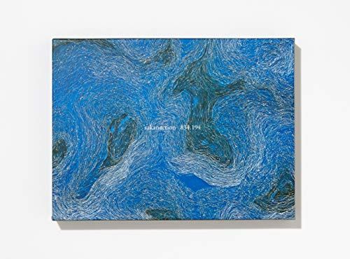 (CD)834.194 (完全生産限定盤A [2CD+BLu-ray / 豪華特殊パッケージ])(応募抽選ハガキなし)／