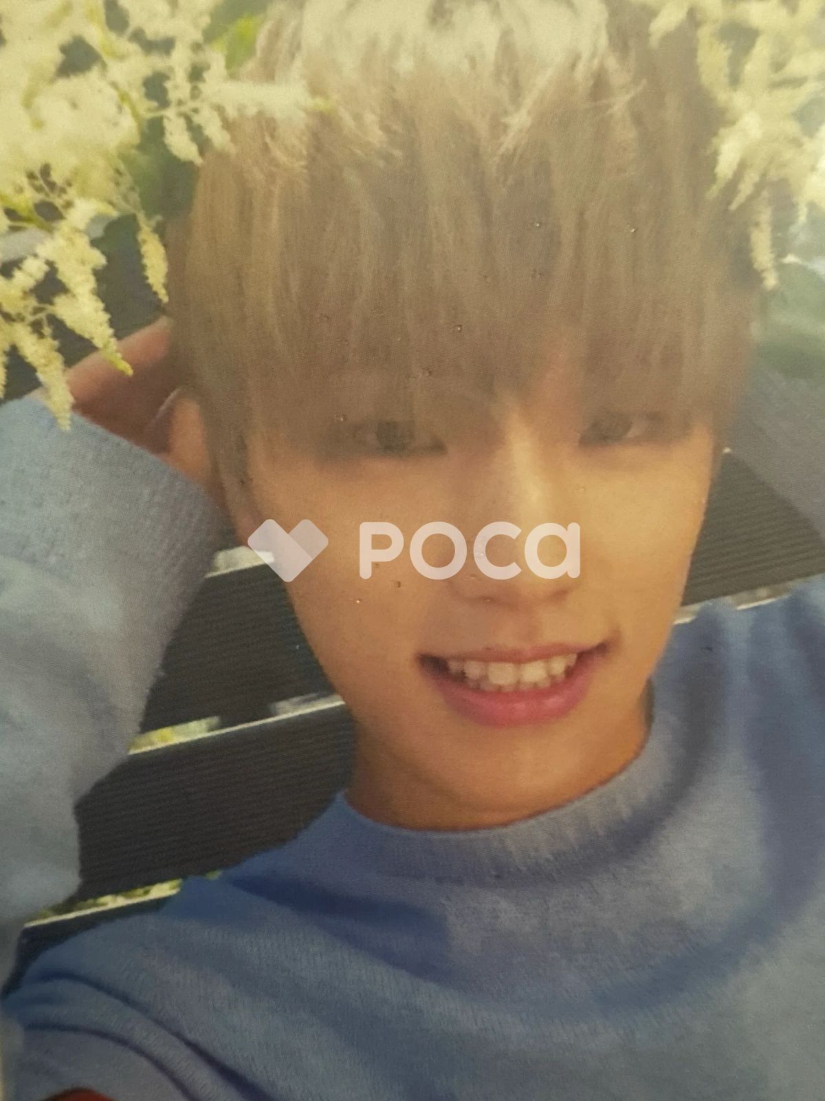 Seventeen ディノ セブチ TEEN, AGE WHITE Ver. - メルカリ