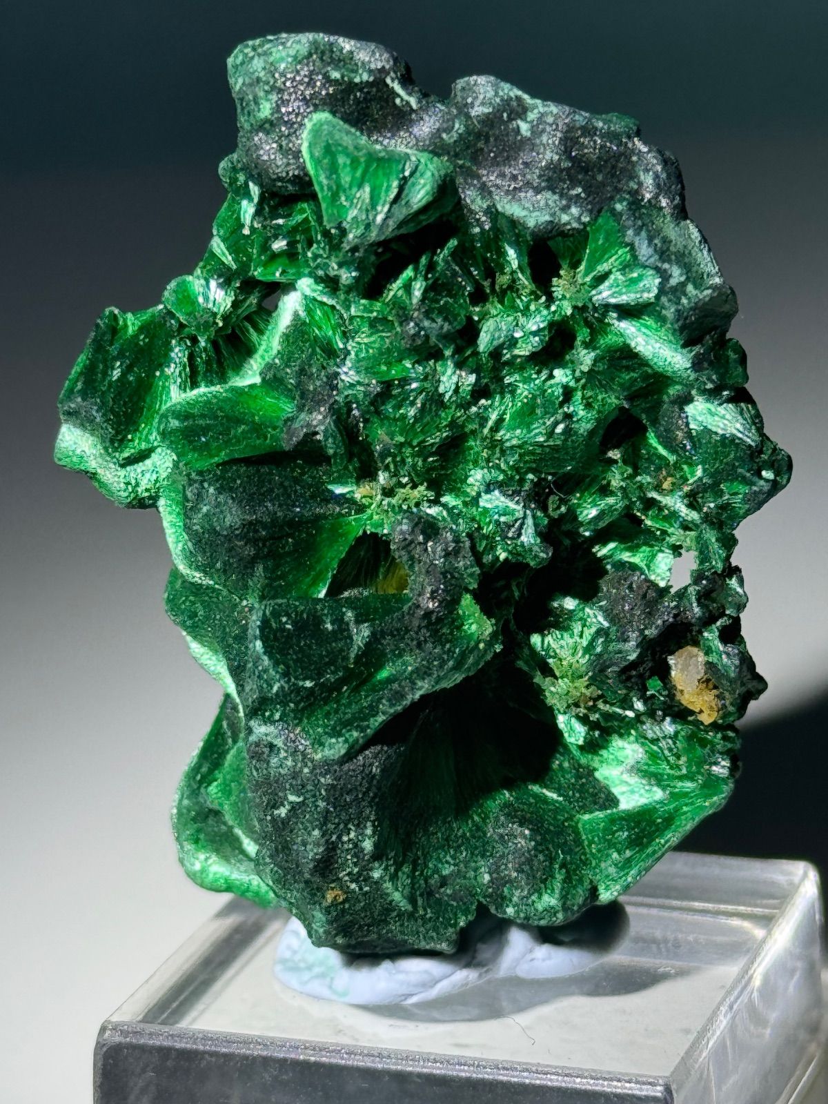 天然針状ベルベットマラカイト 原石 No.28 - メルカリ