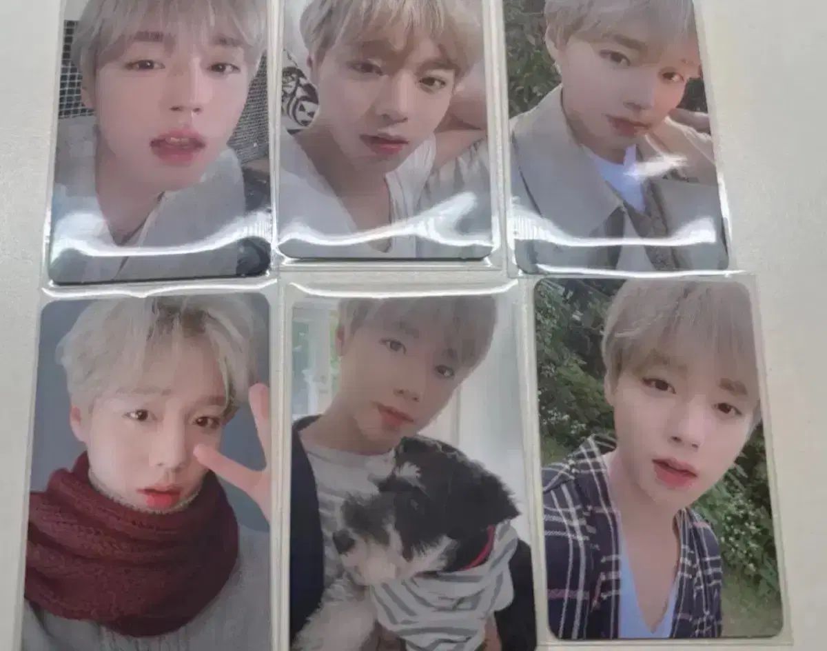 パク・ジフン PARK JIHOON 公式トレカ 9枚セット コンプ 360 パク・ジフン PARK JIHOON 公式トレカ 9枚セット コンプ 360 パク