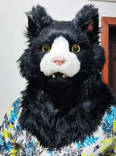 犬　猫　着ぐるみ ヘッド全頭　ヘッド ケモノ ファースーツ ぬいぐるみ コスプレ コスチューム Kurumi 一点物 C677