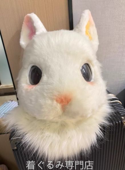 犬　猫　着ぐるみ ヘッド全頭　ヘッド ケモノ ファースーツ ぬいぐるみ コスプレ コスチューム Kurumi 一点物 C678