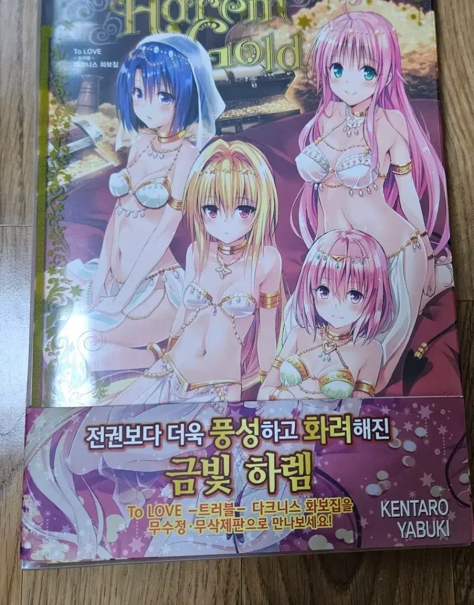 トゥLOVEトゥラブル 下レムGOLD 画集 出品