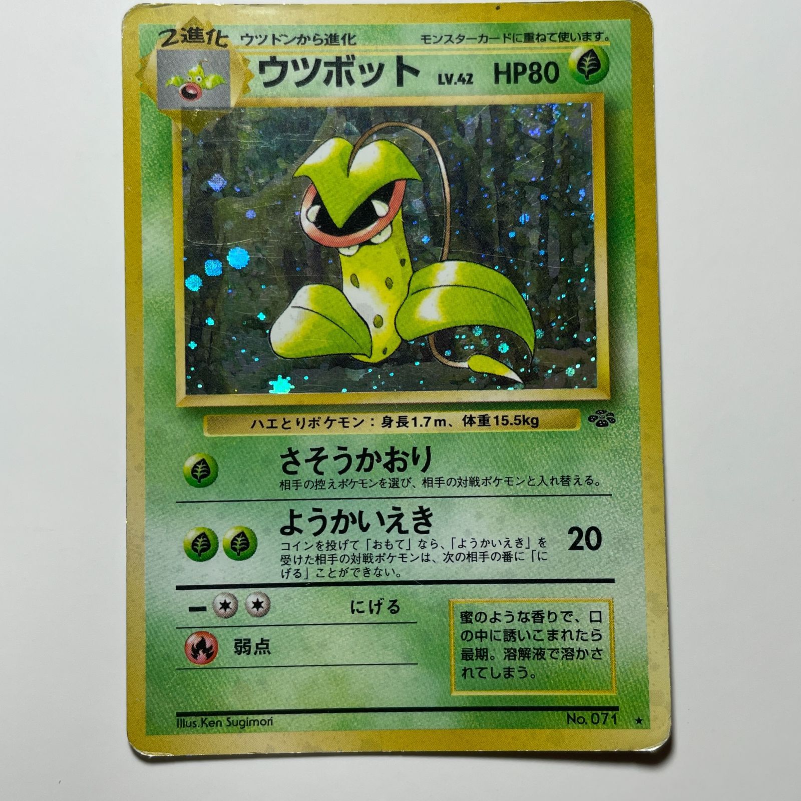 ウツボット 旧裏 ポケモンカード ジャングル ホロ レア Victreebel