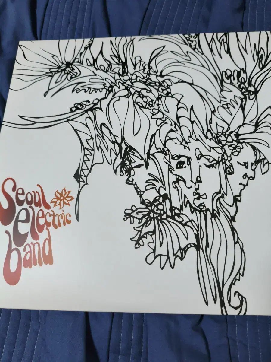 ソウル電子音楽グループ 2 家 LP