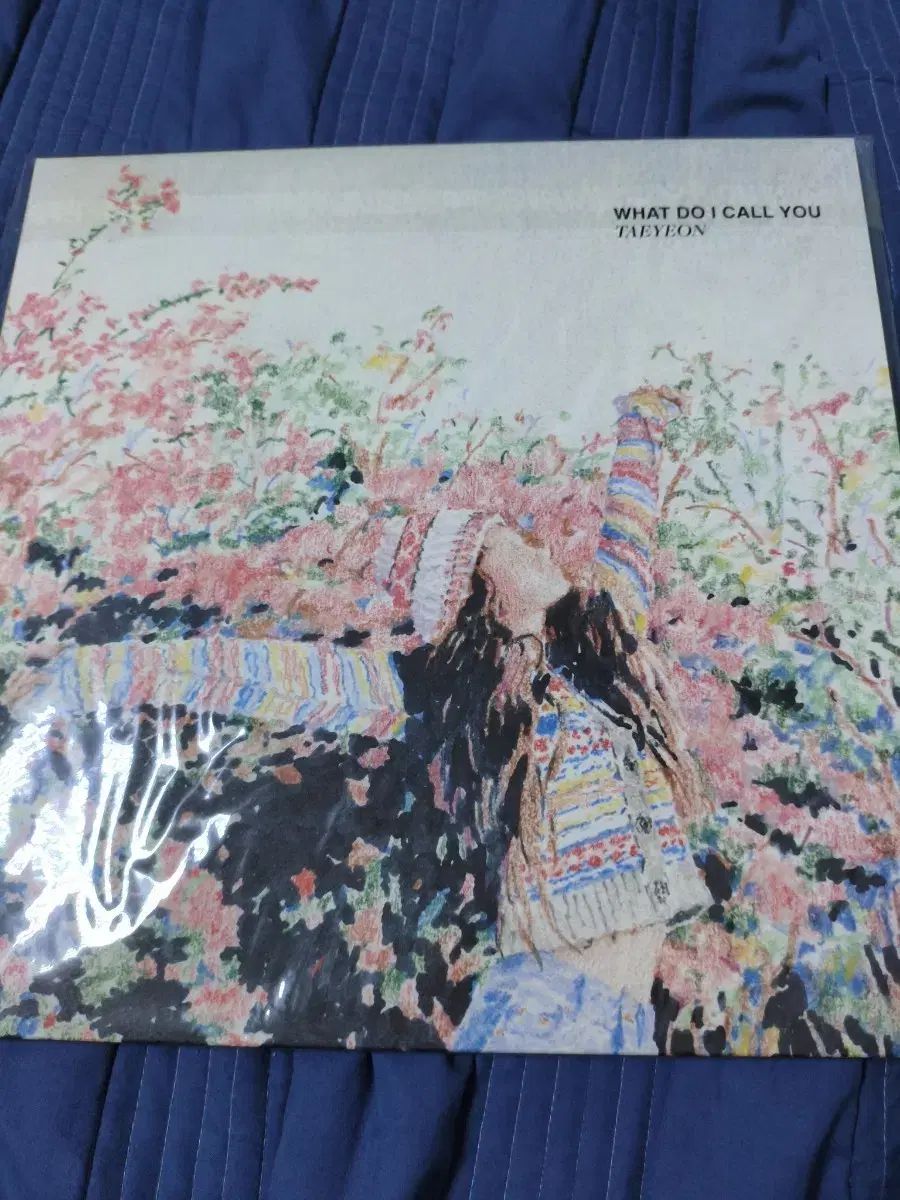 テヨン(TAEYEON) What do i call you LP