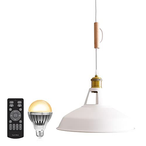 VENTOTA ペンダントライト 100w相当 リモコン式 LED電球付き E26 天井照明 リビング 吊り下げ照明 ダイニング 食卓用 レトロ インダストリアル ヴィンテージ コード調整可能 調光調色 LED Bene WH 国内発送 eca5293d
