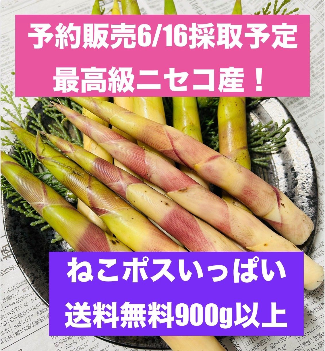 ニセコ産天然根曲がり竹 900g 訳あり お試し - メルカリ