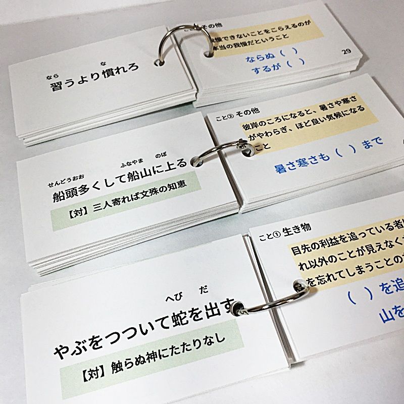 中学入試国語 ことわざの暗記カード サピックス 言葉ナビ 単語カード