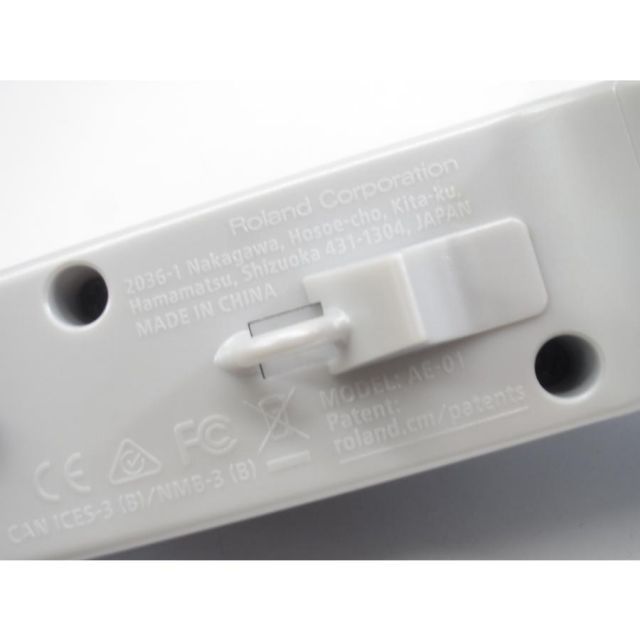 Roland ローランド Aerophone mini AE-01 エアロフォン ミニ 電子