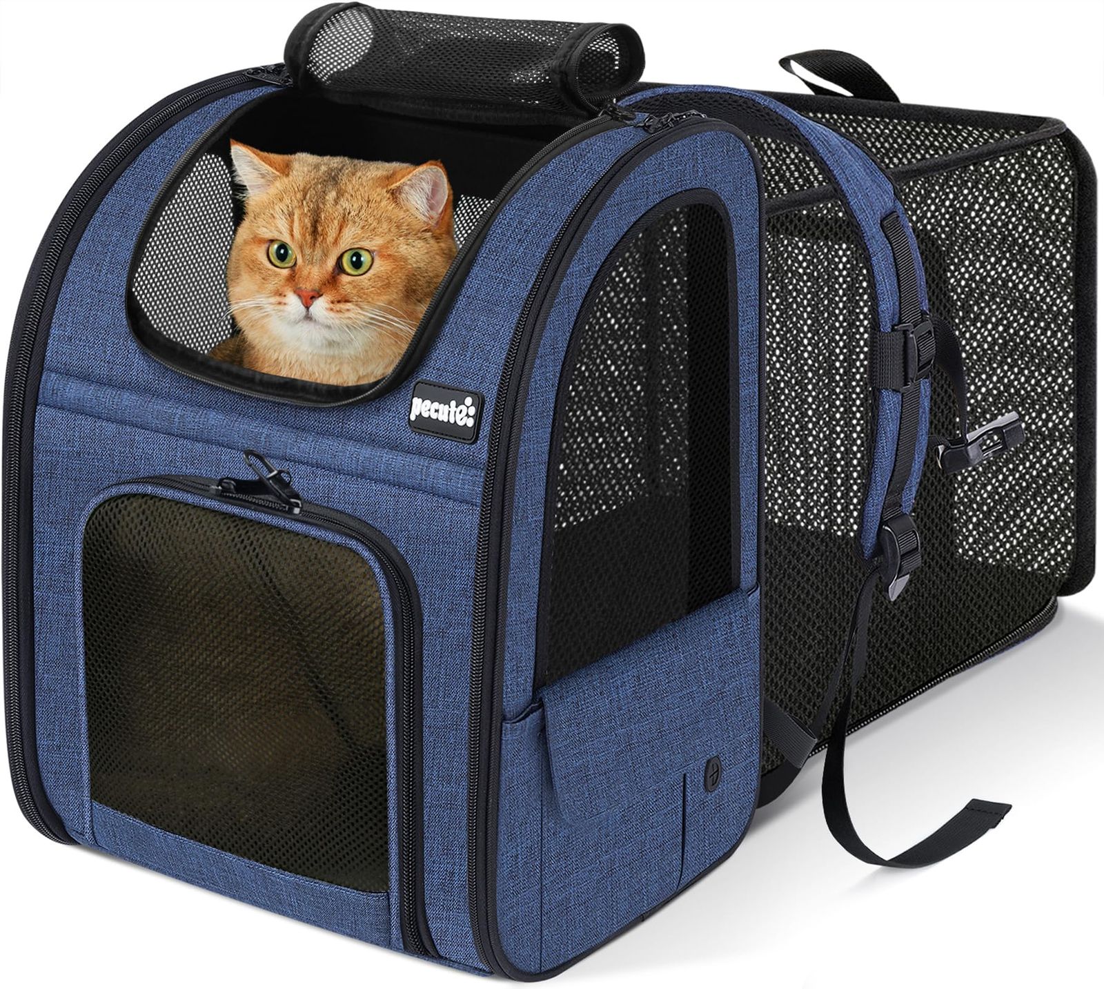 【数量限定】ペキュート Pecute ペット キャリーバッグ 猫用 犬用 リュック メッシュ窓 通気性 拡張可能 2WAY ペットハウス ケージ 折り畳み お出かけ ドライブ 旅行 通院 防災 避難用 キャリー ブルー