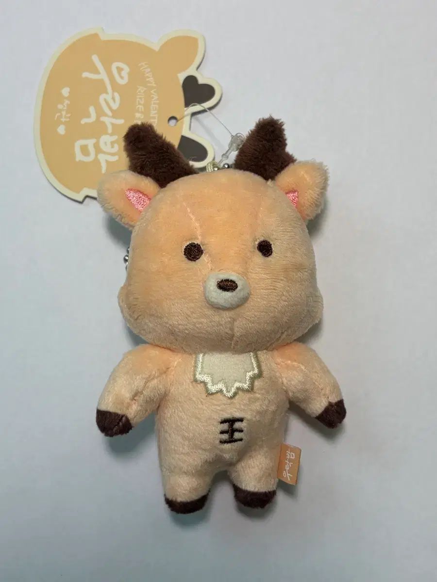 RIIZE (ライズ) ソンチャン (SUNGCHAN) ウラクバム 1期 10cm ぬいぐるみ (開封のみ 商品)