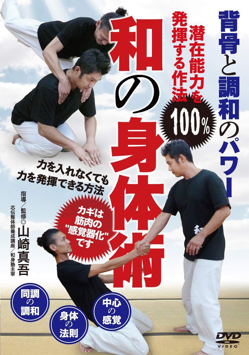 背骨と調和のパワー【和の身体術】潜在能力を100%発揮する作法 [DVD]