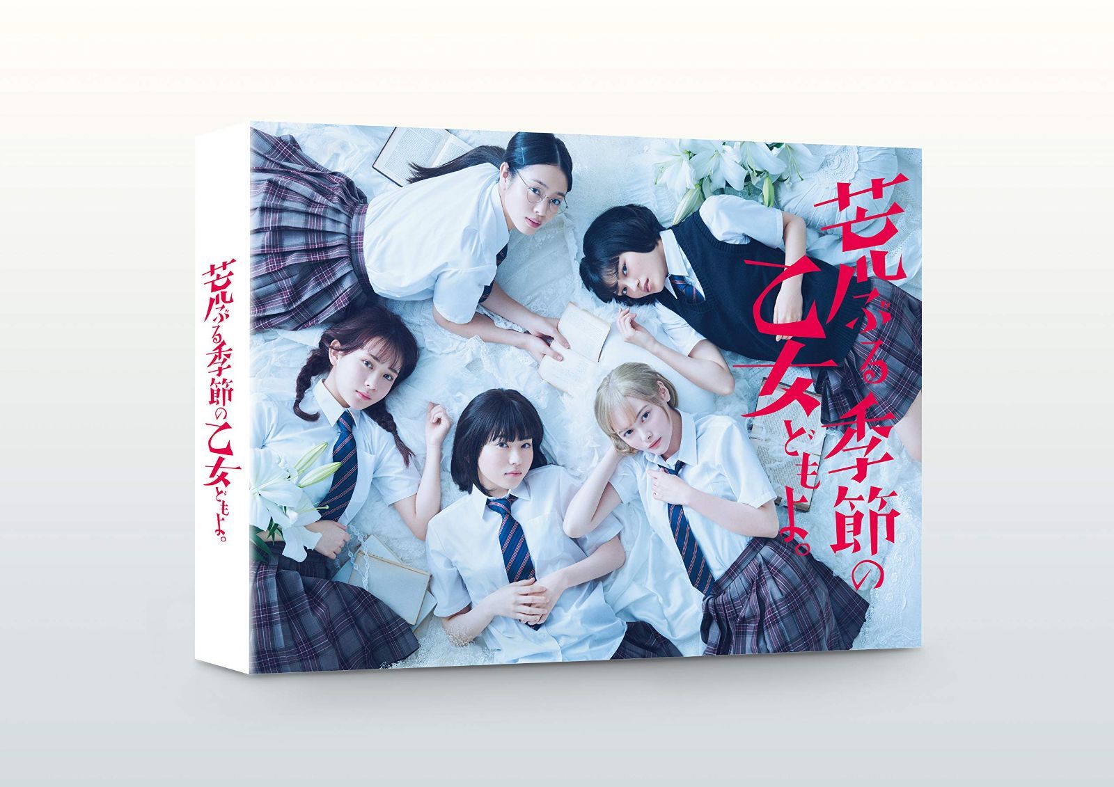 「荒ぶる季節の乙女どもよ。」DVD-BOX