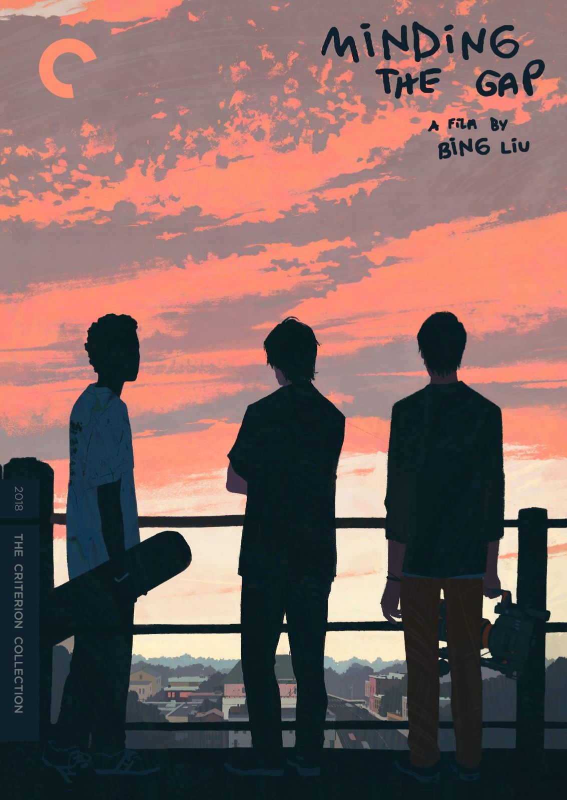 Minding the Gap (Criterion Collection) [DVD]