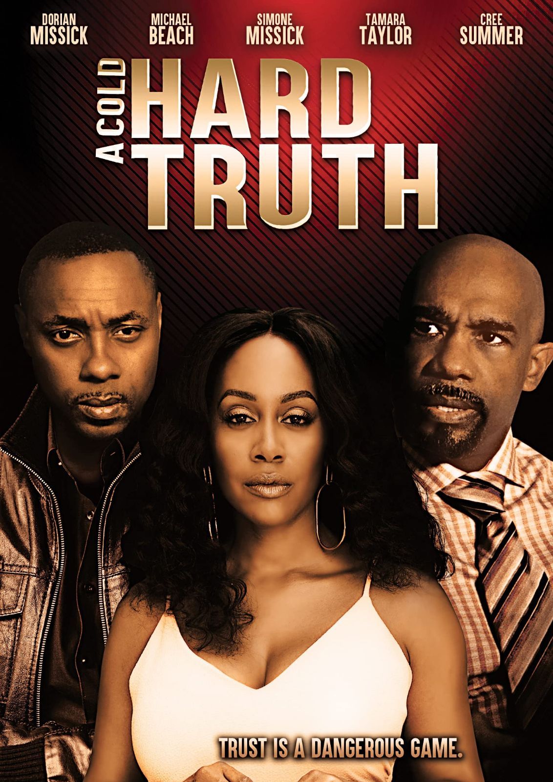 A Cold Hard Truth [DVD]