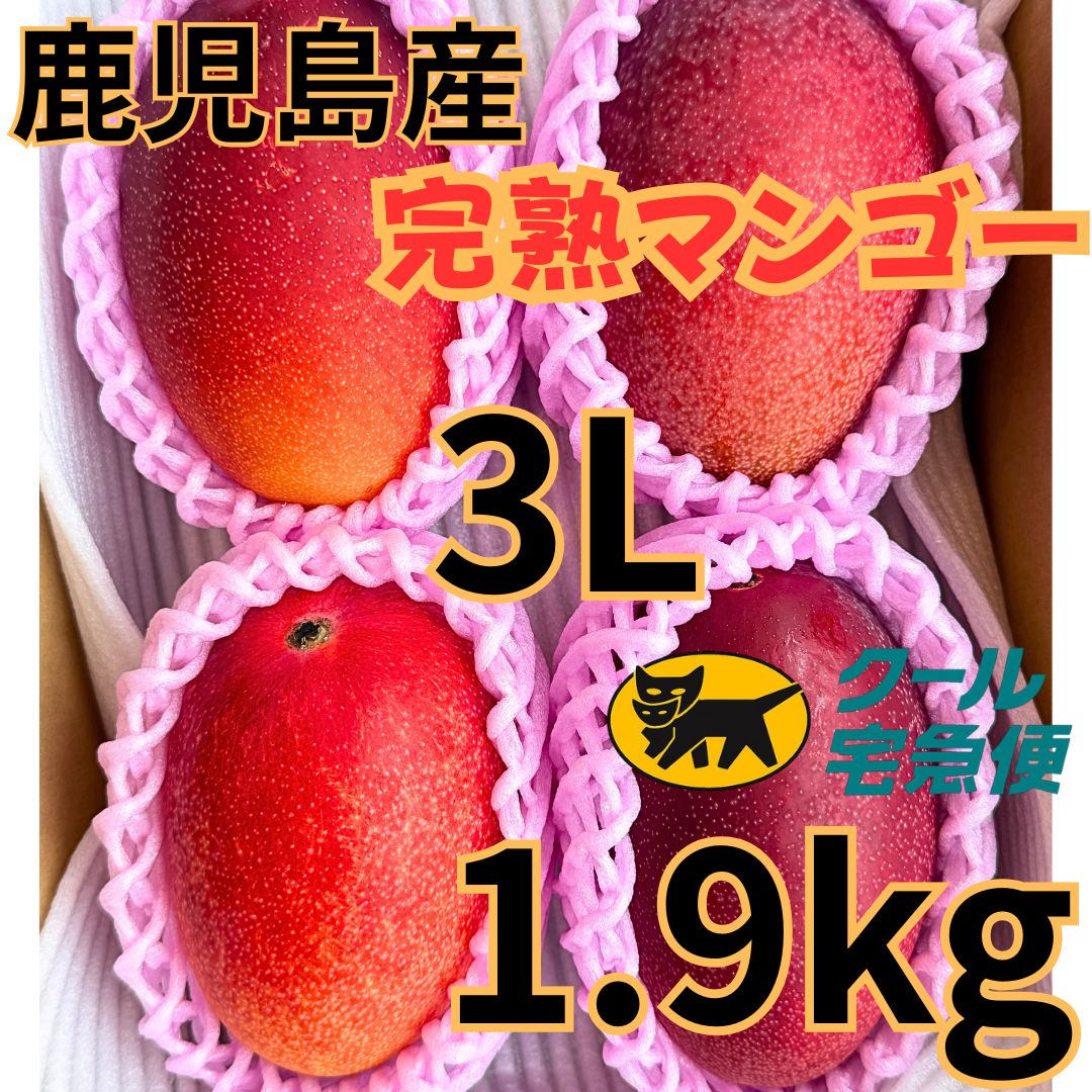 大きい3Lサイズ】甘～い鹿児島県産完熟マンゴー。1.9kg。4玉入り。24