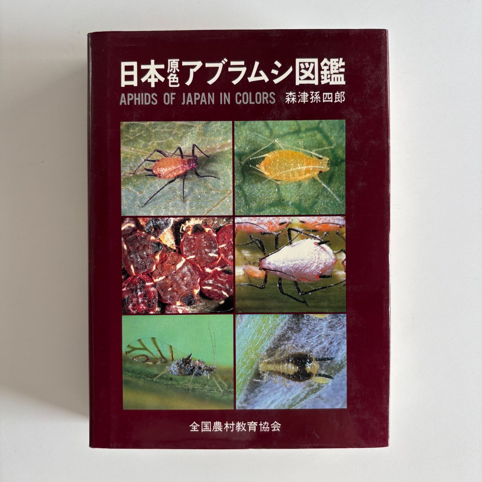 A-1/日本原色アブラムシ図鑑 森津孫四郎 初版 日本原色アブラムシ図鑑