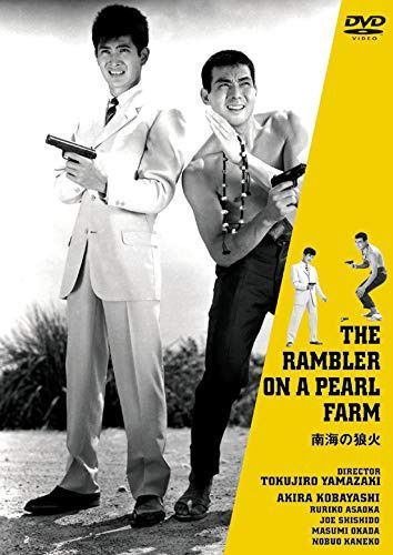 小林旭 デビュー65周年記念 日活DVDシリーズ 南海の狼火 廉価再発シリーズ