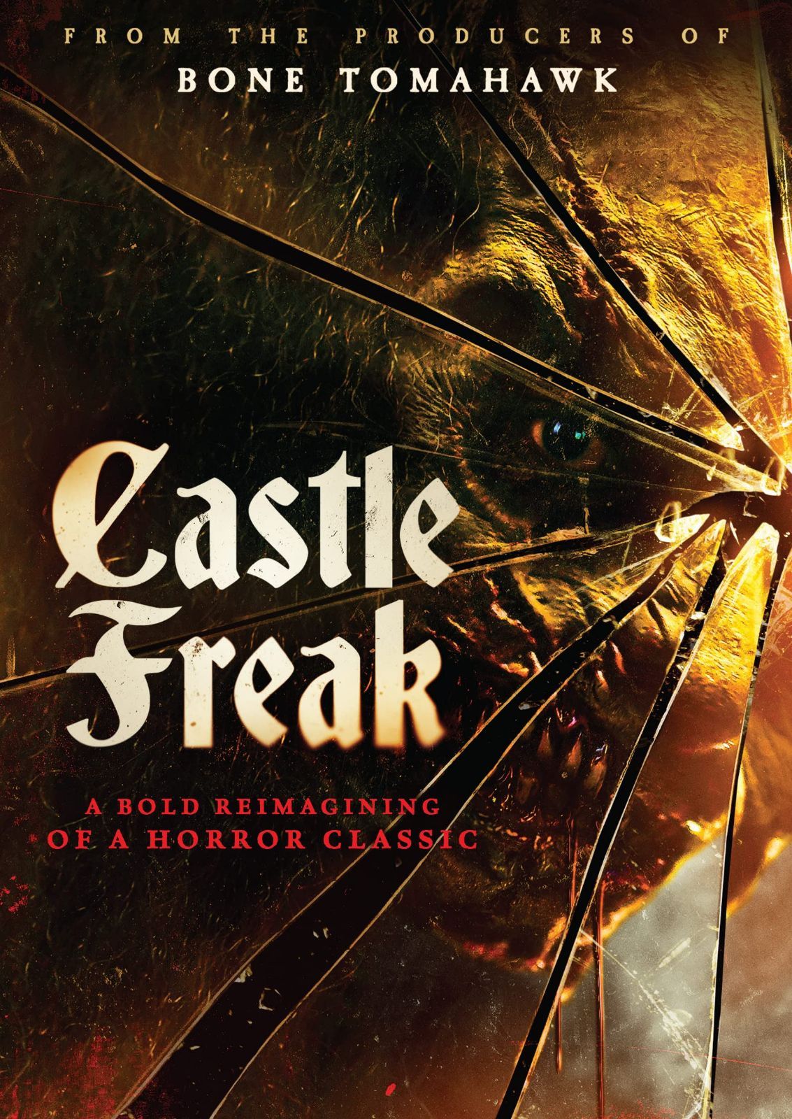 Castle Freak [DVD]
