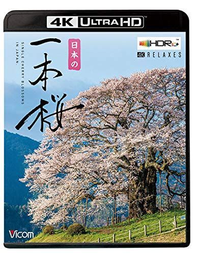 日本の一本桜 【4K・HDR】【4K Ultra HDブルーレイ】 [Ultra HD Blu-ray]