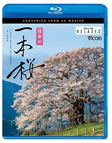 日本の一本桜 4K撮影作品 【Blu-ray Disc】