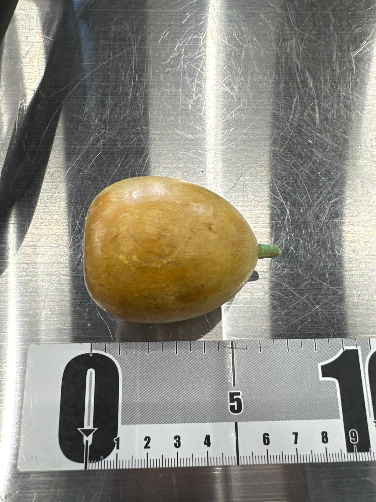 ふくしまひろえ 野菜こけし 果物こけし 12点セット 木製野菜モチーフ