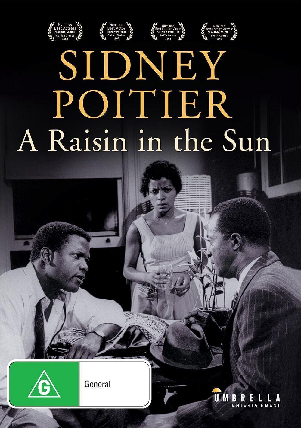 A Raisin in the Sun [DVD]
