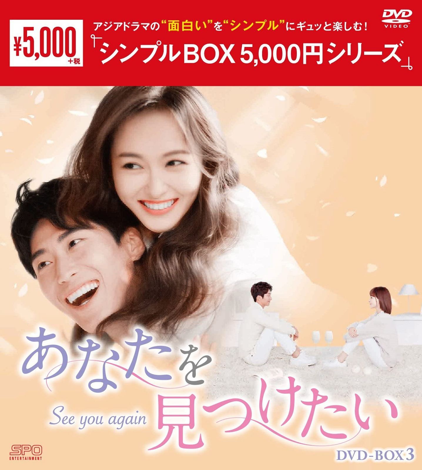 あなたを見つけたい~See you again~ DVD-BOX3 <シンプルBOX 5,000円シリーズ>