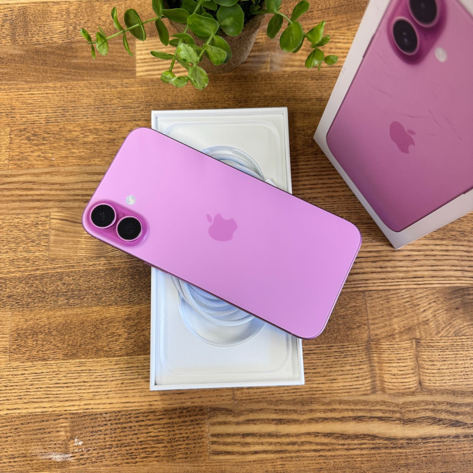 iPhone16 Plus 256GB ピンク 国内版 SIMフリー 送料無料