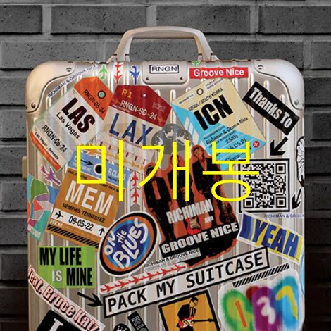 未開封 リッチマンとグルーヴェニス ー Pack My Suitcase （ CD ）