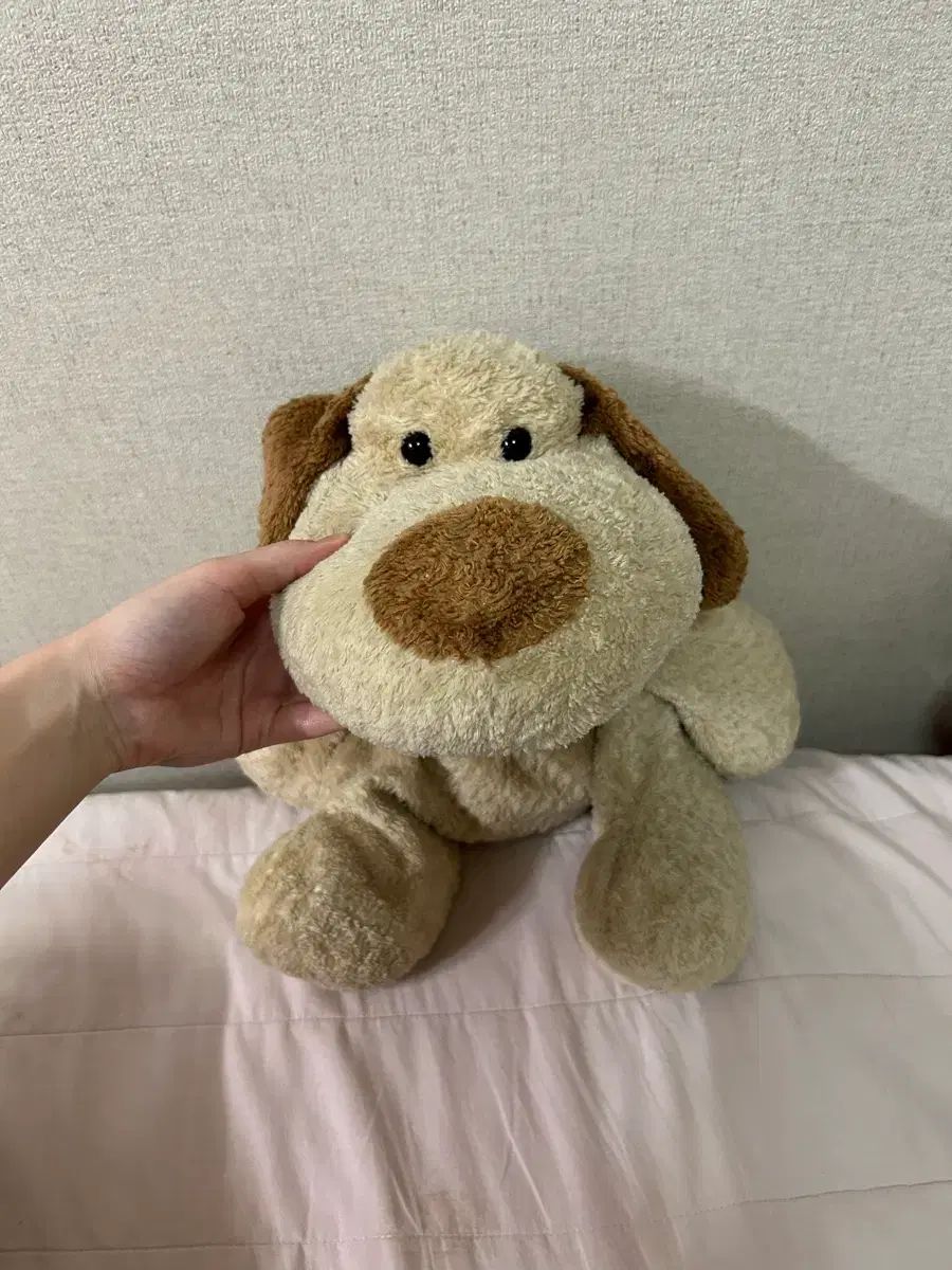 リングドッグ 강아지 ぬいぐるみ