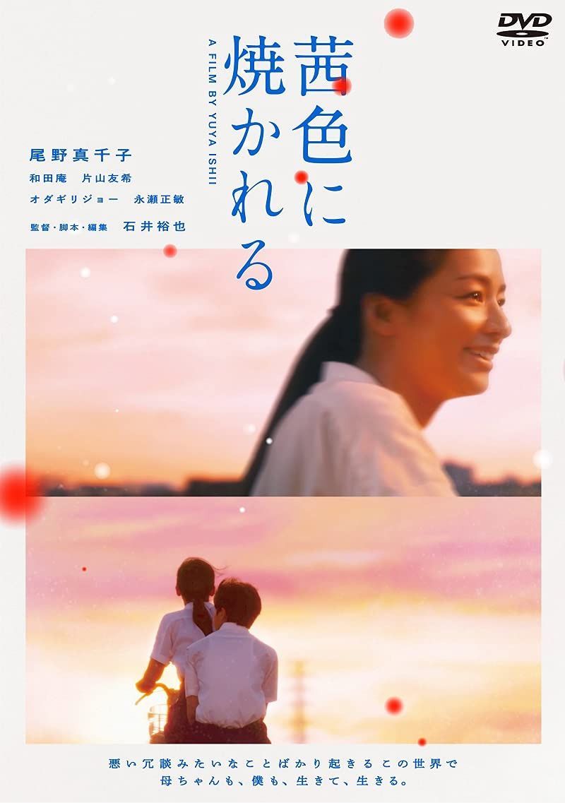 茜色に焼かれる [DVD]