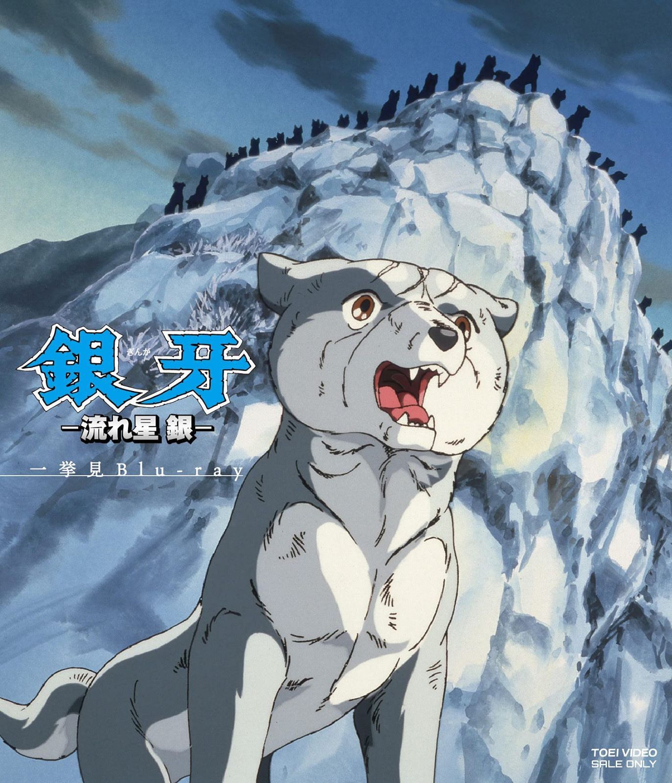 銀牙-流れ星 銀- 一挙見Blu-ray