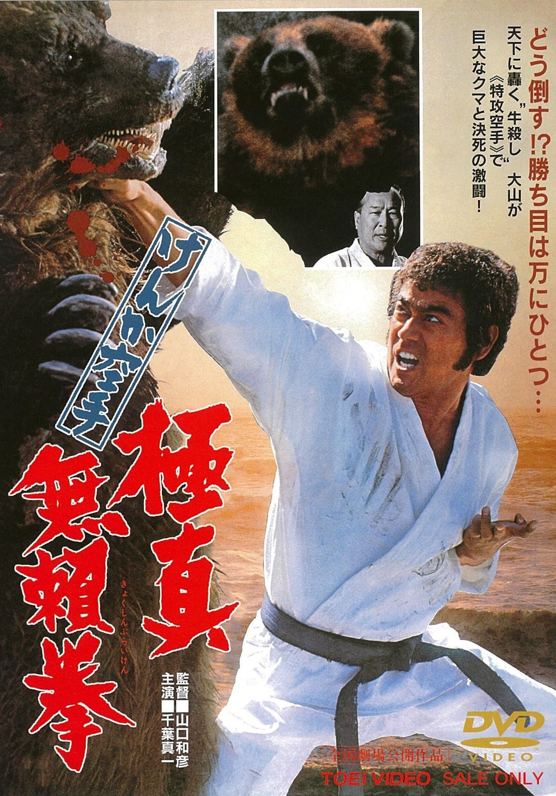 けんか空手 極真無頼拳 [DVD]