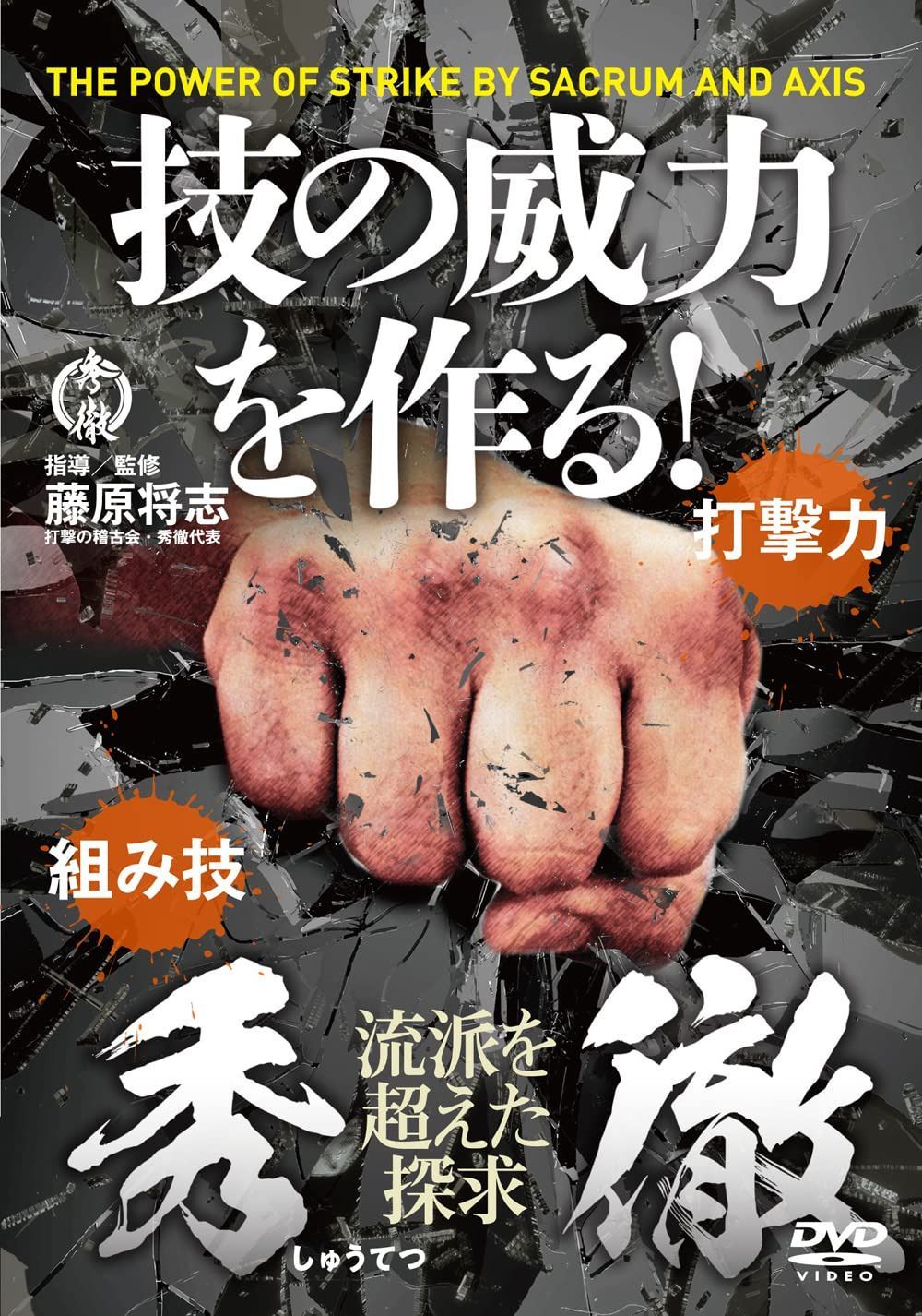 打撃の稽古会・秀徹(しゅうてつ)【技の威力を作る! 】武術パワーを劇的に上げる訓練法 [DVD]