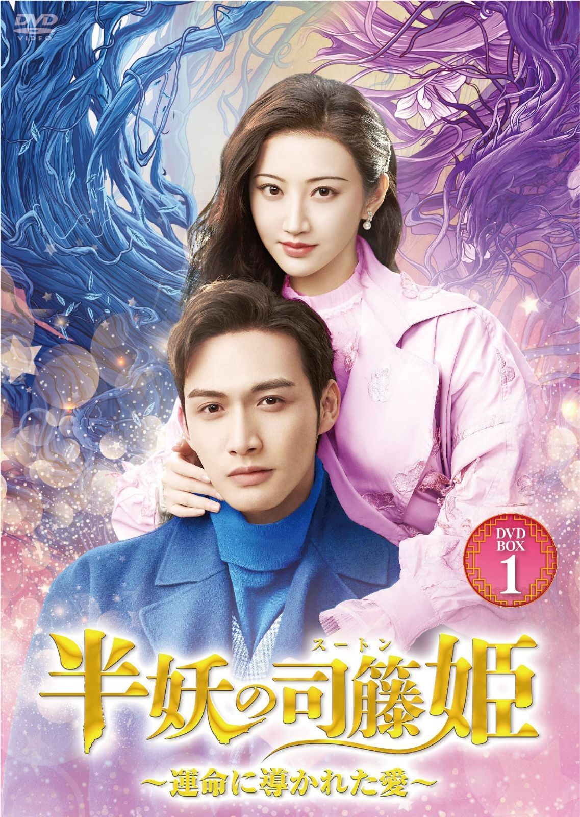半妖の司籐姫~運命に導かれた愛~DVD-BOX1
